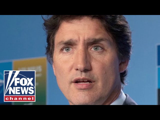 Trump Tariffs on Canada to be paused for at least 30 Days