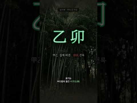 휘어도 꺾이지 않는 풀 | 을묘(乙卯) 일주