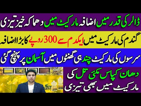 Wheat SarSon wHeat Dhan Rates 02/03/2023| Mustard price | caNola Rates Punjab,Sindh Market