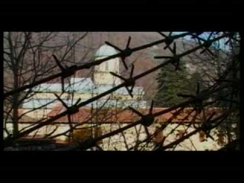 LET MY HEART REJOICE / DAJTE SRCU MOME RADOSTI GUCA GYPSY GROOVZ ORCHESTRA