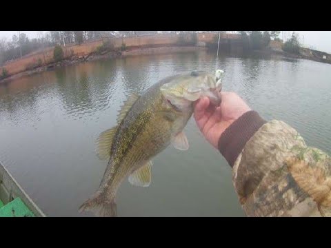 What's On The Screen? Humminbird Piranaha Maxx 4 (Viewer Request)