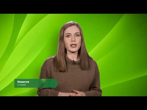 ЭкоНовости. Новости с полей. На Камчатке смогут предупреждать экологические катастрофы.