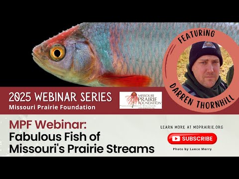 MPF Webinar: Fabulous Fish of Missouri's Prairie Streams