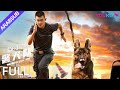 [فريق الكلاب البوليسية لسبعة كلاب]｜The Seven Dog's PDU｜شراكة غير عادية بين رجل وكلب!｜أكشن｜YOUKU