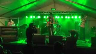 Carl Wyatt & The Delta Voodoo Kings - Two Women In A Pick-Up Truck