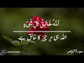 Surah Al Zumer Tilawat Quran Short Clip