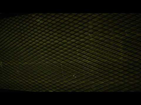 Vintage Westinghouse Traction Freight Elevator 2