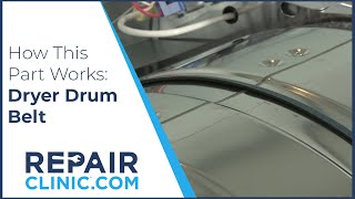 Dryer Drum Belt: How It Works and Installation Tips