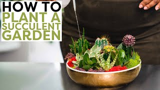 How to Plant a Succulent Garden with Weslie Pierre | Like a Pro | HGTV Handmade