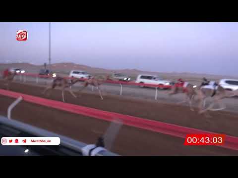  ش 1 (طاعه) لـ محسن سالم بن عقيدان الوهيبي 2:08:00 ، شارة الصندوق 2026/05/16 فطامين الوقن