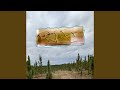 desert wind (a dog who chases)