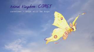 Video thumbnail of "Boys Will Be Bugs by Cavetown (Official Audio) | Animal Kingdom"