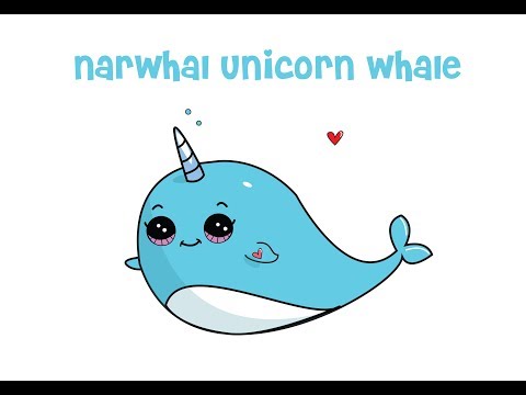 How to Draw a Cartoon Narwhal Unicorn Whale