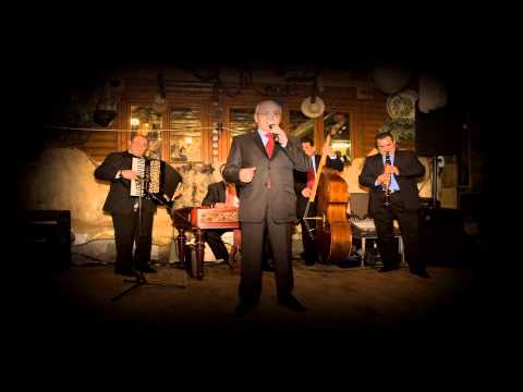 NELU PLOIESTEANU - SPUNE, SPUNE MOS BATRAN