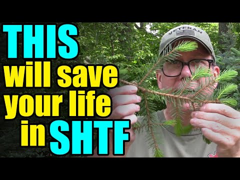 This WILL save your LIFE during SHTF – Be Prepared!