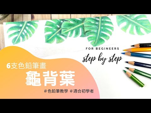 龜背芋畫