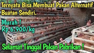 Download lagu Ternak Ayam Petelur Dengan Pakan Alternatif Buatan Sendiri ‼️ Selamat Tinggal Pakan Pabrikan mp3 Download lagu Ternak Ayam Petelur Dengan Pakan Alternatif Buatan Sendiri ‼️ Selamat Tinggal Pakan Pabrikan mp3