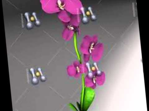 Puedo Morir Mañana - Armando Manzanero