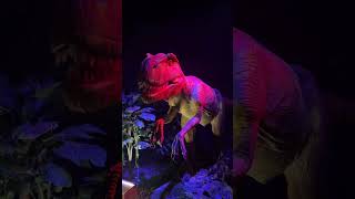 Download lagu Meeting over 80 life-sized dinosaurs at Dinos Alive | Fever mp3