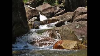 House of Shem   Brighter Day