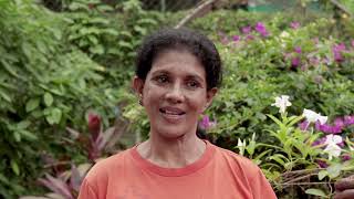 Download lagu Beyond Paangshu to Katuneriya ..... on the trail of Nilupa, Violet and Baba Nona aka Nita Fernando mp3