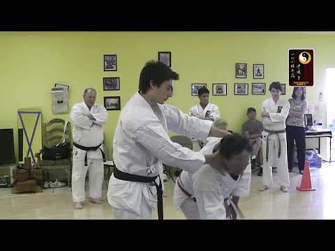 Breaklocks: Rear Choke-Step Back Body Drop – Shihan Robert Cusumano