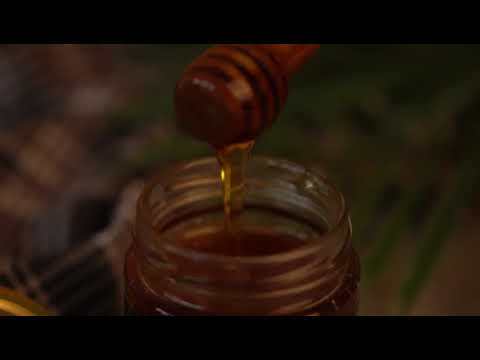 Honey & Sweeteners Supplier In Delhi