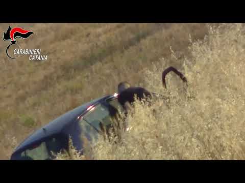 Maxi blitz antidroga, disarticolata rete di spaccio: 24 arresti