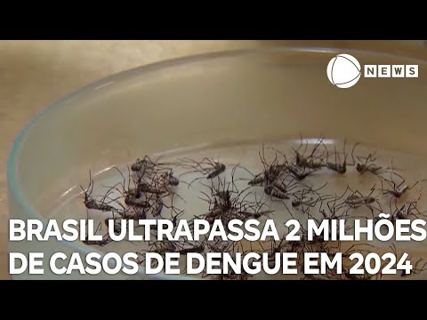 EPIDEMIA – Brasil ultrapassa 2 milhões de casos de dengue em 2024