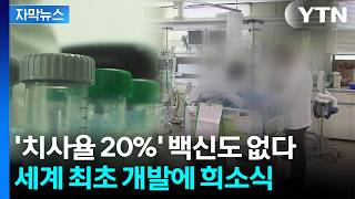 [자막뉴스] "특히 제주도에서 환자 다수"...세계 최초로 개발한 시스템 / YTN