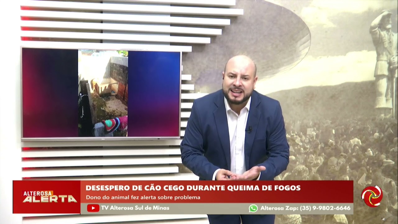 Cão cego se assusta com fogos em Paraguaçu