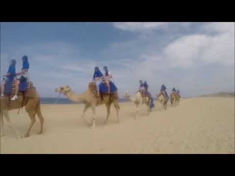 Camel Safari in Cabo San Lucas