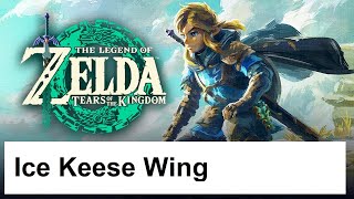 The Legend of Zelda Tears of the Kingdom - Ice Keese Wing - Location