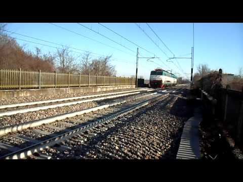 DOPPIA TARTARUGA IN TRANSITO