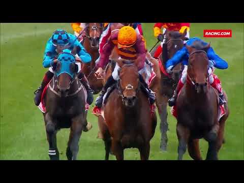 State Of Rest 2024 Stallion Parade