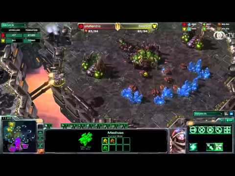 Beastyqt vs Nerchio Finals 1 Competo Cup #38