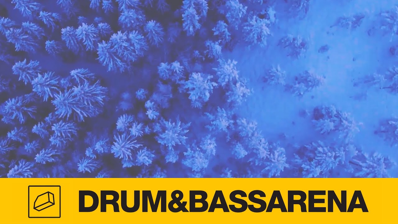 Cardinal Sound - Solitude (Official Music Video)