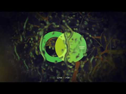 Jam Rumi - Stranded (Original Mix) // Area Verde