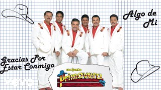 Gracias Por Estar Conmigo Lyrics English Translation