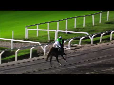 210424 c08 QUILLAN (BRZ)