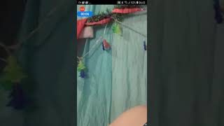 Download lagu Bigo live c*lm€k ampe basah mp3 Download lagu Bigo live c*lm€k ampe basah mp3