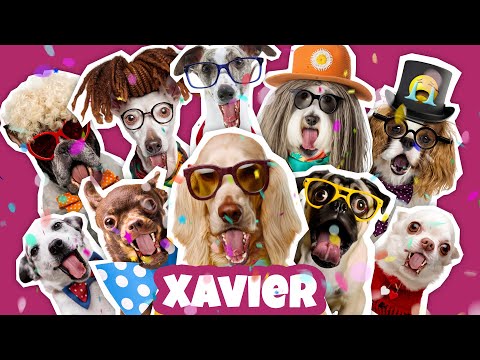 JOYEUX ANNIVERSAIRE XAVIER - Chanson drôle par une meute de chiens déjantés 🎉