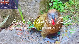 A quick trip to Auckland Zoo🦜🦧| Cute Animals | 【 New Zealand - Japanese Vlog🇳🇿🌿 】自然が溢れる動物園 🌿