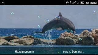 Sea Dolphins HD live wallpaper