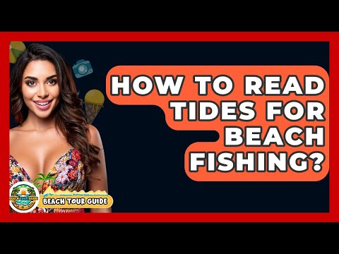 How To Read Tides For Beach Fishing? - Beach Tour Guide