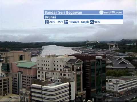 The WORLD LIVE - 23:00 GMT on January 15, 2011