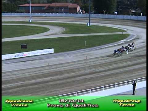 Pr Qualifica 2014 10 15 Thor Va Tuono di Grana Treseguet Kyu Tambo del Pri Trofarello Tosca Grif