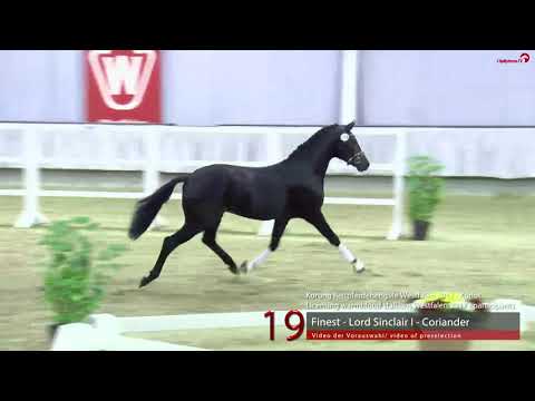 19 Junghengst v. Finest - Lord Sinclair I