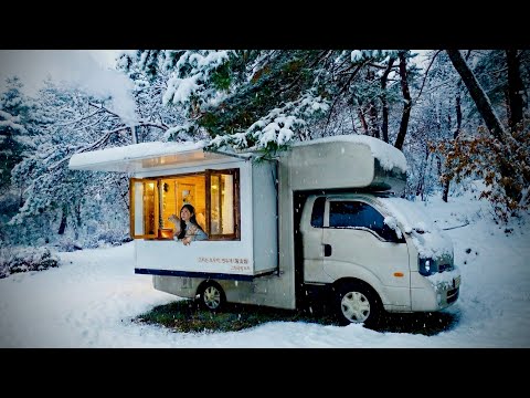 ❄️ Snowy lakeside, cabin with wood stove, snow camping with dog in truck