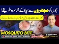 Effective Mosquito Bite Remedies Mosquito Bite Treatment Prevention